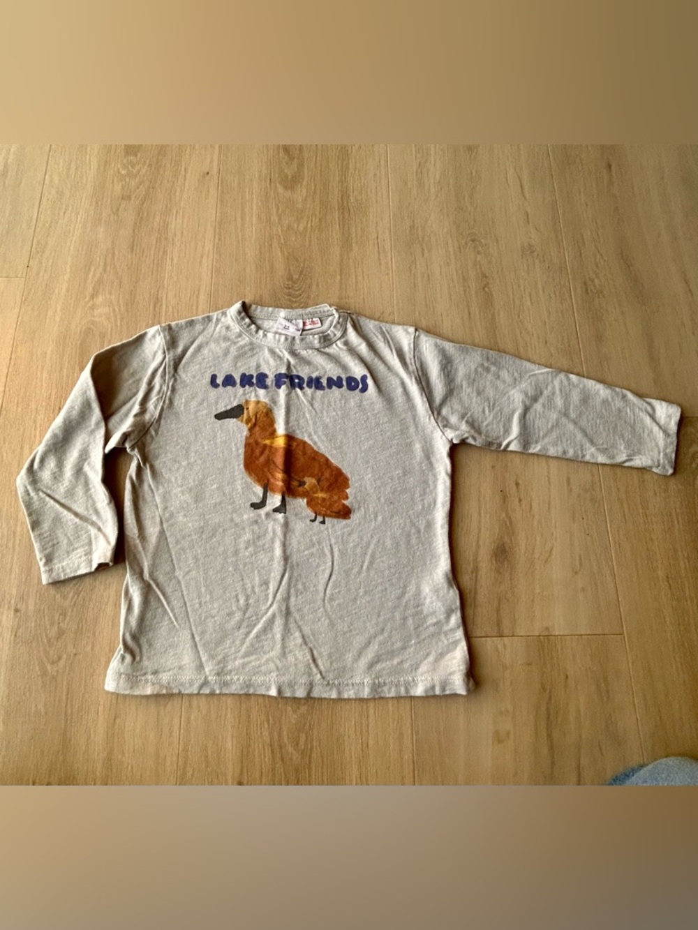 Zara kids 3/4 years long sleeve shirt with ducks
